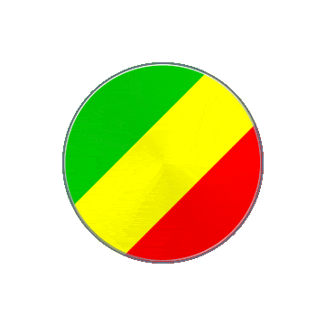 Republic Of The Congo Vinyl Spin animated flag GIF