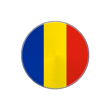 Romania Vinyl Spin animated flag GIF