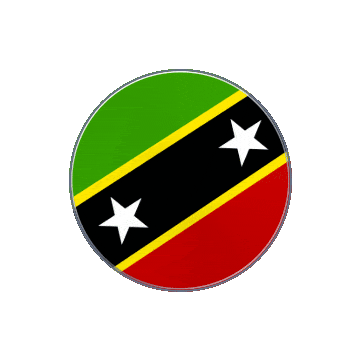 Saint Kitts And Nevis Vinyl Spin animated flag GIF