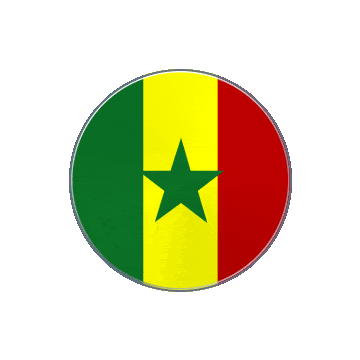 Senegal Vinyl Spin animated flag GIF