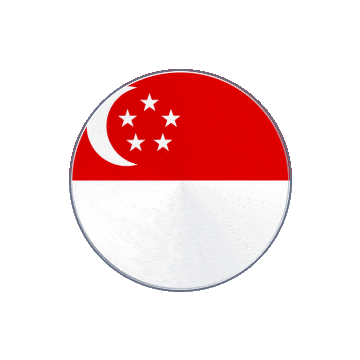 Singapore Vinyl Spin animated flag GIF