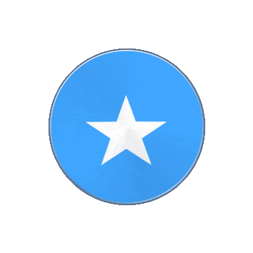 Somalia Vinyl Spin animated flag GIF