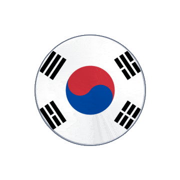 South Korea Vinyl Spin animated flag GIF