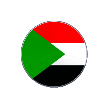 Sudan Vinyl Spin animated flag GIF