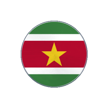Suriname Vinyl Spin animated flag GIF