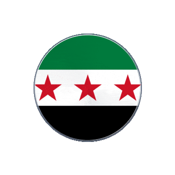 Syria Vinyl Spin animated flag GIF