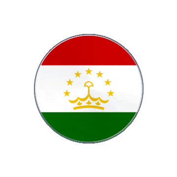Tajikistan Vinyl Spin animated flag GIF