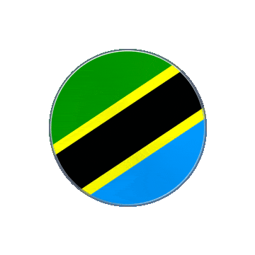 Tanzania Vinyl Spin animated flag GIF