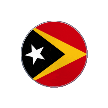 Timor Leste Vinyl Spin animated flag GIF