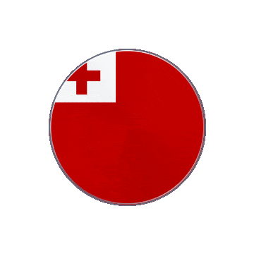 Tonga Vinyl Spin animated flag GIF