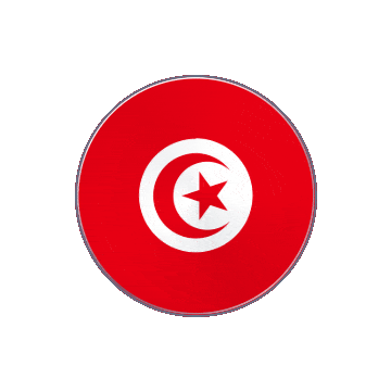 Tunisia Vinyl Spin animated flag GIF