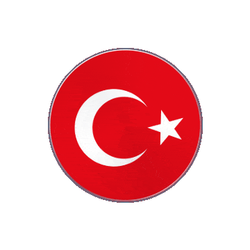 Turkey Vinyl Spin animated flag GIF