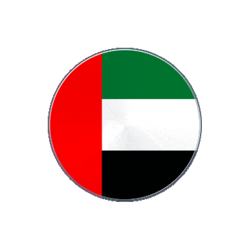 United Arab Emirates Vinyl Spin animated flag GIF