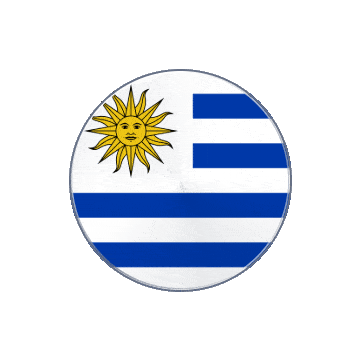 Uruguay Vinyl Spin animated flag GIF