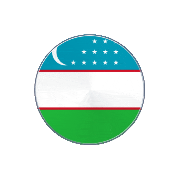 Uzbekistan Vinyl Spin animated flag GIF