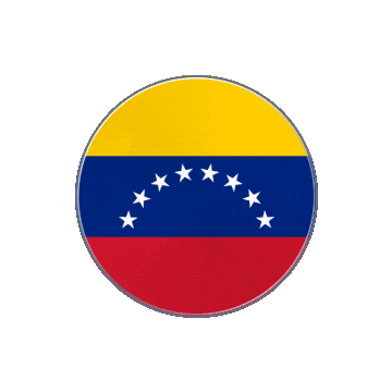 Venezuela Vinyl Spin animated flag GIF