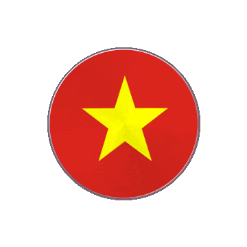 Vietnam Vinyl Spin animated flag GIF