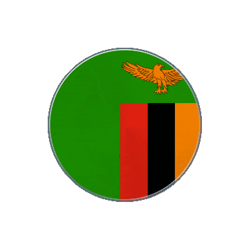 Zambia Vinyl Spin animated flag GIF