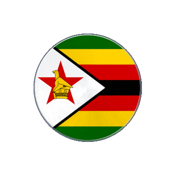 Zimbabwe Vinyl Spin animated flag GIF