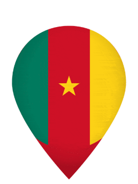 Cameroon Drop Pin Bounce animated flag GIF