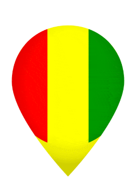 Guinea Drop Pin Bounce animated flag GIF