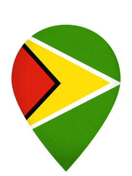 Guyana Drop Pin Bounce animated flag GIF