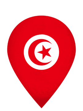 Tunisia Drop Pin Bounce animated flag GIF