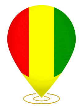 Guinea Drop Pin Heartbeat animated flag GIF