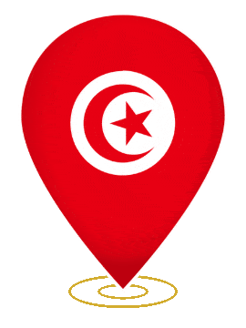 Tunisia Drop Pin Heartbeat animated flag GIF