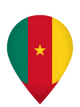 Cameroon Drop Pin Pulse animated flag GIF