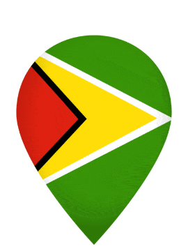 Guyana Drop Pin Pulse animated flag GIF