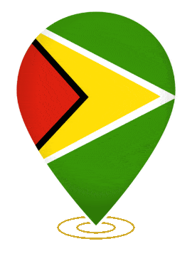 Guyana Drop Pin Ring animated flag GIF