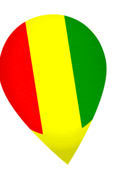 Guinea Drop Pin Wobble animated flag GIF