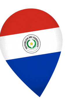Paraguay Drop Pin Wobble animated flag GIF