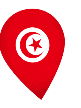 Tunisia Drop Pin Wobble animated flag GIF