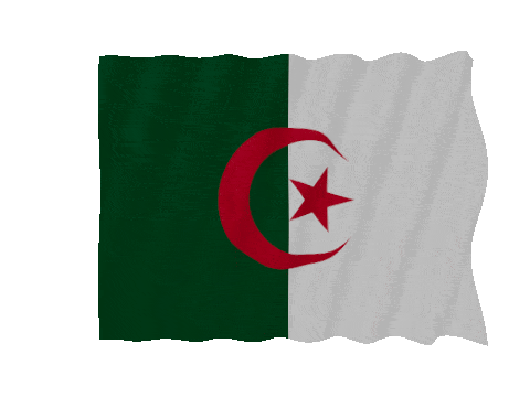 Algeria Fast Wave animated flag GIF