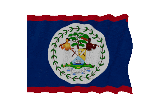 Belize Fast Wave animated flag GIF
