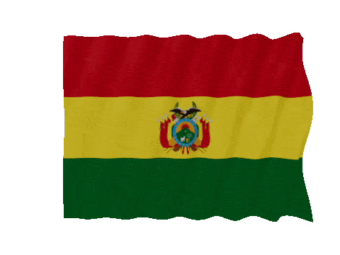 Bolivia Fast Wave animated flag GIF
