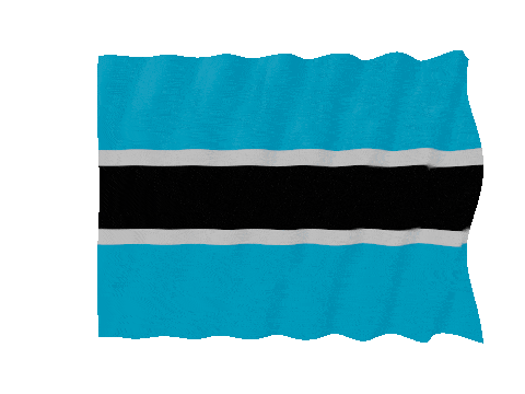 Botswana Fast Wave animated flag GIF