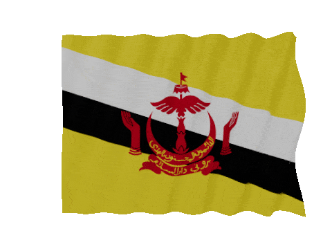 Brunei Fast Wave animated flag GIF