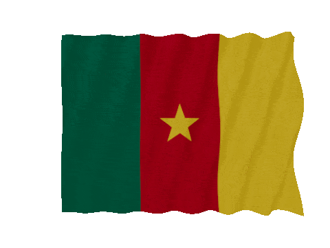 Cameroon Fast Wave animated flag GIF