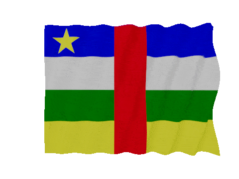Central African Republic Fast Wave animated flag GIF