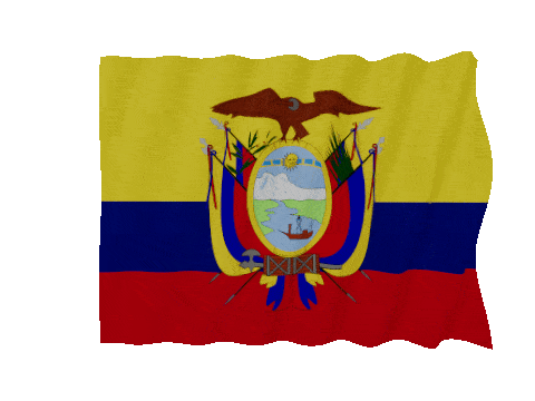 Ecuador Fast Wave animated flag GIF