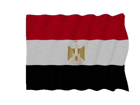 Egypt Fast Wave animated flag GIF