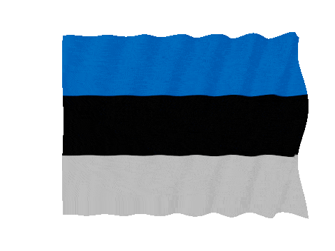 Estonia Fast Wave animated flag GIF
