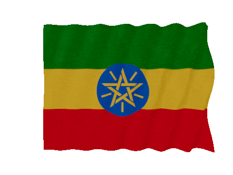 Ethiopia Fast Wave animated flag GIF