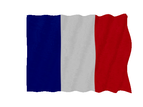 France Fast Wave animated flag GIF