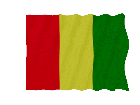 Guinea Fast Wave animated flag GIF