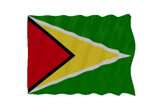 Guyana Fast Wave animated flag GIF