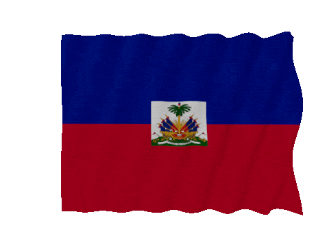 Haiti Fast Wave animated flag GIF